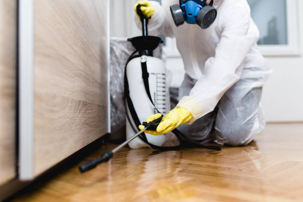 Best Mosquito Control Services  in Blaine, MN