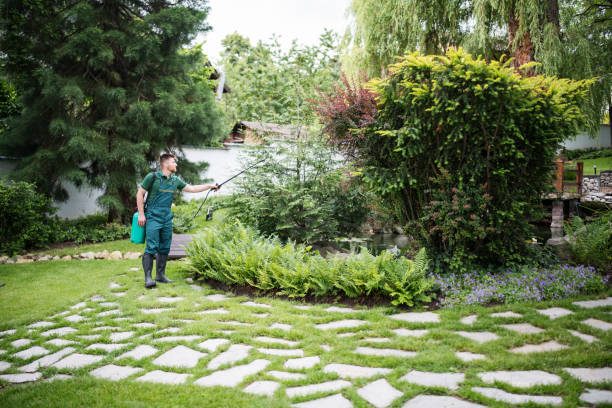 Pest Control for Restaurants in Blaine, MN