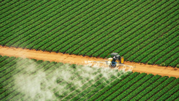Reliable Blaine, MN Pest Control Solutions