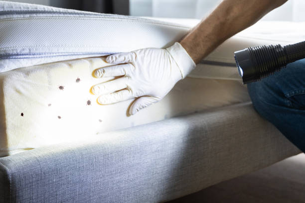 Best Pest Inspection Near Me  in Blaine, MN