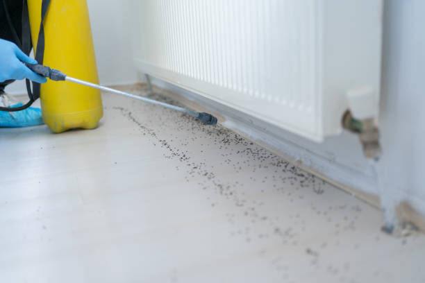Best Pest Control Near Me  in Blaine, MN