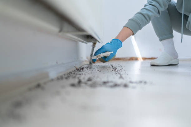Best Pest Removal Services  in Blaine, MN