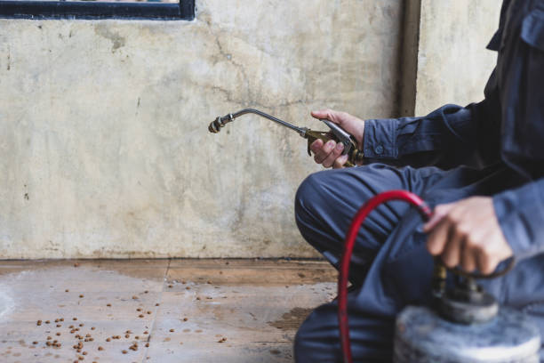 Best Residential Pest Control  in Blaine, MN