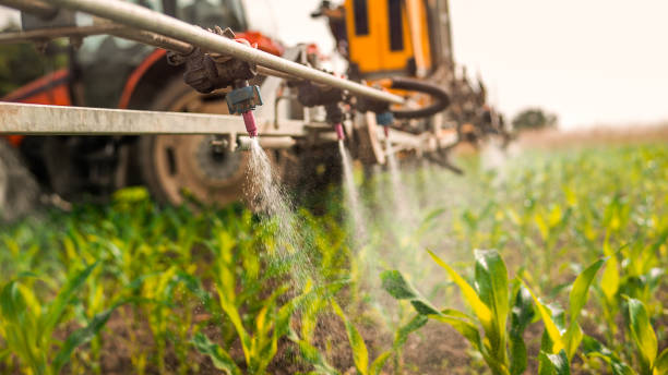 Best Wildlife Control Services  in Blaine, MN